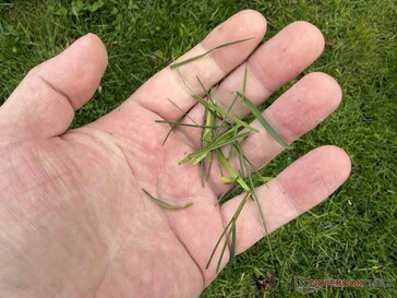 ......比我们宣传的除草功能预期的要好。