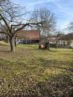 主摄像头(无变焦)