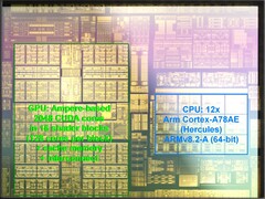 Tegra T239的性能应该明显好于Tegra X1系列。(图片来源：维基百科通过kopite7kimi)