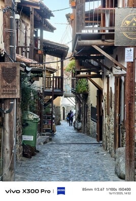 vivo X300 Pro:照片样本