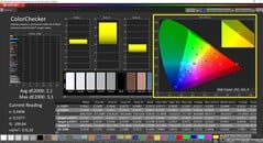 CalMAN ColorChecker（轮廓：鲜艳）