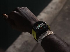 Garmin 已为 Forerunner 智能手表推出 19.13 测试版。(图片来源：Garmin）