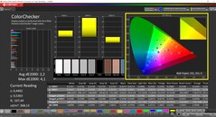CalMAN ColorChecker（配置文件：原生，目标色彩空间：P3）