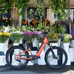 Momentum Vida E+ 电动自行车单次充电总续航里程为 55 英里（88.5 公里）（图片来源：Momentum）