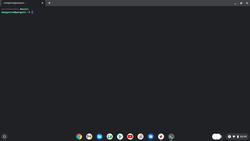 在Chrome OS下的Linux环境