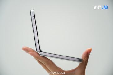 (图片来源：WhyLab）