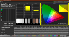 经过校准的Calman Colorchecker