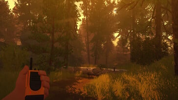 一张展示 Firewatch 中森林的图片。