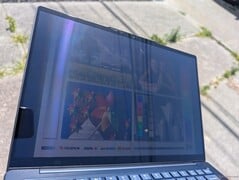 在户外,沐浴在阳光下