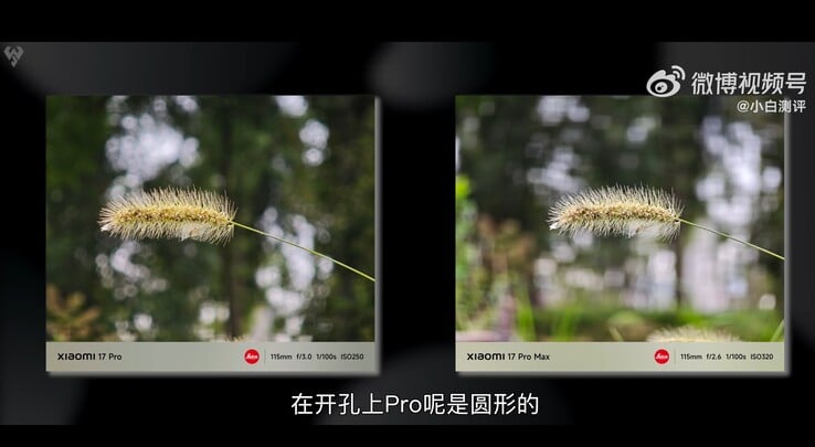 小米 17 Pro 与小米 17 Pro Max：使用 5 倍长焦拍摄的微距照片对比
