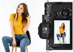 索尼将自定义网格线作为在游轮、游乐园、学校和 ID 照相馆等场所工作的摄影师的解决方案。(图片来源:索尼)