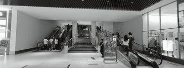XPan 模式：单色，等效 14 毫米