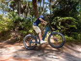 Kingbull Rover 2.0 电动自行车由功率为 750 W 的 Bafang 电机驱动（图片来源：Kingbull） 