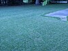 这里的结果很好 