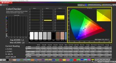 CalMAN ColorChecker（配置文件：原生，目标色彩空间：P3）