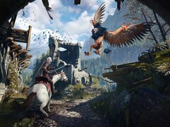 图片来自游戏Witcher 3: Wild Hunt。(图片来源：Steam）