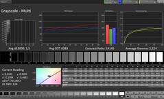 灰度(配置文件:专业,目标色彩空间:sRGB)