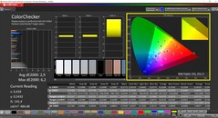 CalMAN ColorChecker（目标色彩空间：P3）