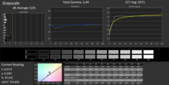 CalMAN Grayscale calibrated