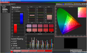 CalMan - color saturation