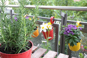 Reference: Canon EOS 450D, 12 megapixel