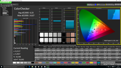 CalMAN - Color Checker (calibrated)