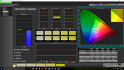 CalMAN Saturation Sweeps after calibration