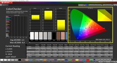 CalMAN ColorChecker（目标色彩空间P3）。