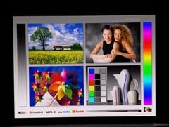 宽广的 OLED 视角