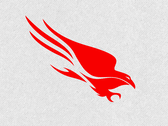 CrowdStrike Falcon Platform（图片来源：CrowdStrike）