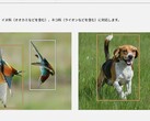 这两张照片以及 Lumix S9 产品页面上的其他照片引发了争议（图片来源：Panasonic）
