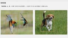 这两张照片以及 Lumix S9 产品页面上的其他照片引发了争议（图片来源：Panasonic）