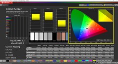 CalMAN ColorChecker 已校准