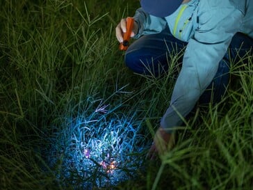 Olight ArkPro Ultra 配备紫外线灯,用于检测有机污渍。