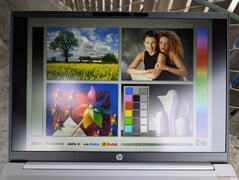 明亮阴天下的户外活动