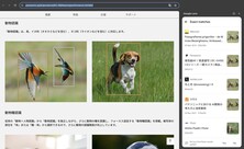 鸟类照片由尼康大使使用尼康 D810 拍摄（图片来源：Photo Rumors）