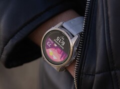 软件版本 17.28 与 Garmin 一个月前发布的更新相比，只是做了小幅修改。 图片来源：Garmin