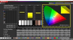 CalMAN ColorChecker（配置文件：P3，目标色彩空间 P3）