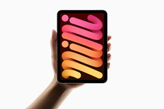 新款Apple iPad Mini 已发布(图片来源:Apple)