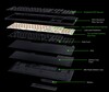 BlackWidow V4 HyperSpeed TKL 内部结构（图片来源：Razer）