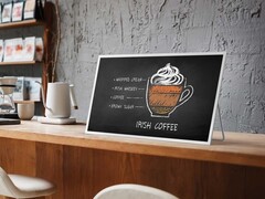 三星：基于 E Ink 技术的显示屏。