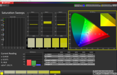 CalMAN 饱和度扫描已校准