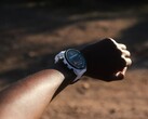 Garmin 为 Forerunner 955 推出 18.22 版软件。(图片来源：Garmin）