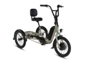 RadTrike 1电动三轮车可以支持高达415磅(约188公斤)的负载。(图片来源:Rad Power Bikes)