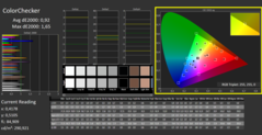 CalMAN: ColorChecker (已校准)