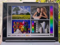 户外树荫下