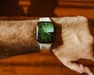预计下一代 Apple Watch 的设计变化将非常有限。
