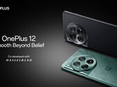 OnePlus 12。(图片来源：OnePlus）
