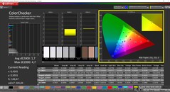 CalMAN ColorChecker（配置文件：sRGB，目标色彩空间：sRGB）