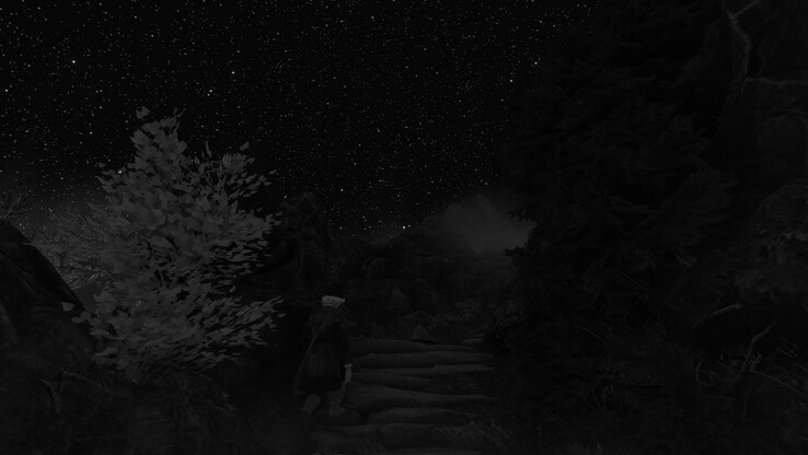 夜色中风吹过松树发出的呼啸声很好地烘托了夜景。(图片来源：Anubhav Sharma - Notebookcheck）